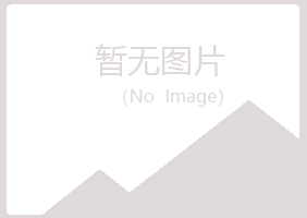 晋城夏岚能源有限公司